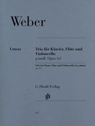 Trio for Piano, Flute and Violoncello in g minor Op. 63